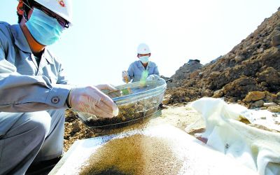 拯救大地的疤痕 你不可不知的土壤污染修复之道
